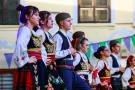 Uniunea Sârbilor din România
